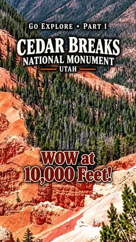 Red cliffs and evergreen forest at Cedar Breaks National Monument, Utah