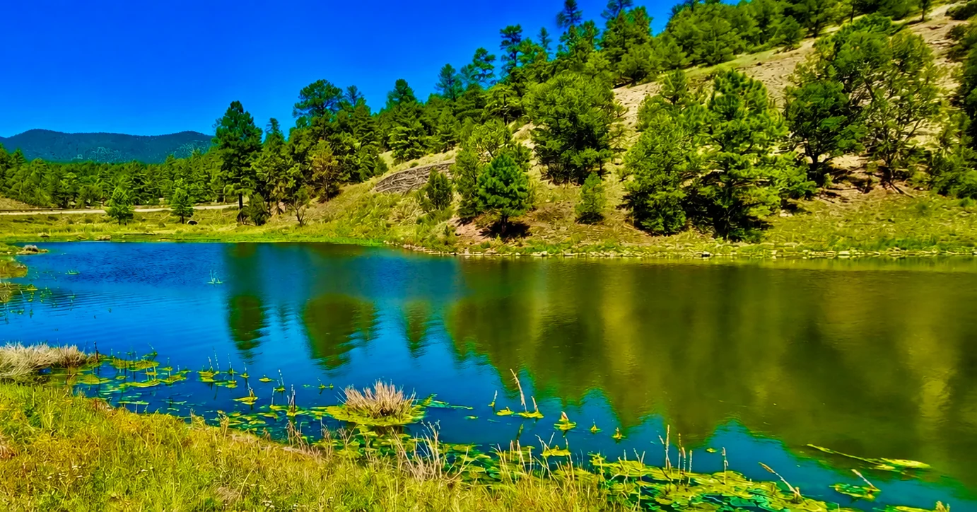 Quemado Lake in New Mexico, with open water beneath wooded hills, photographed during Papa Rick’s travels.